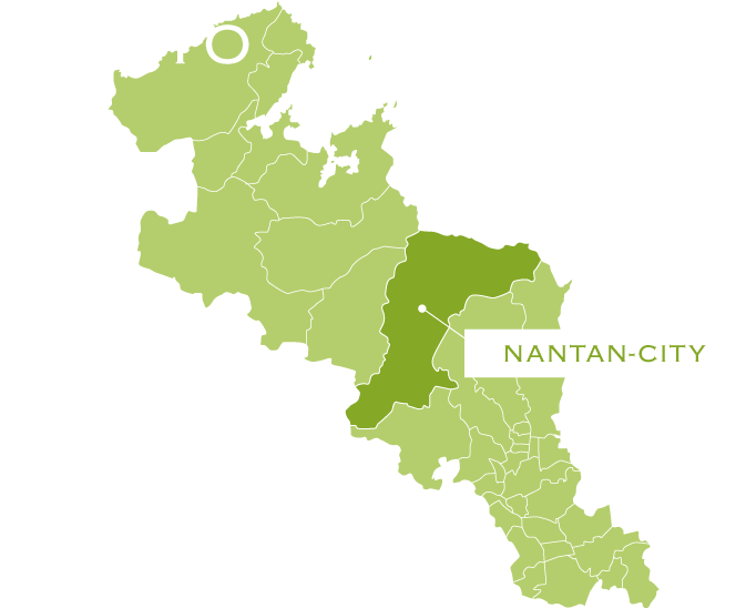 厳選された安心の国産竹